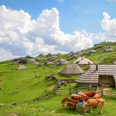 Majolka * Kamnik